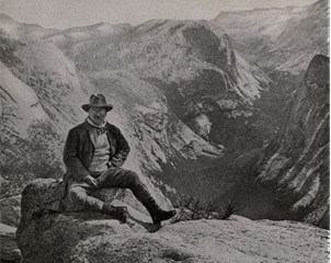 Teddy Roosevelt in the wild